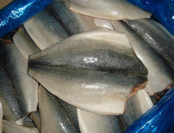 frozen mackerel flap
