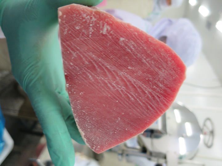 frozen yellow fin tuna saku (3)