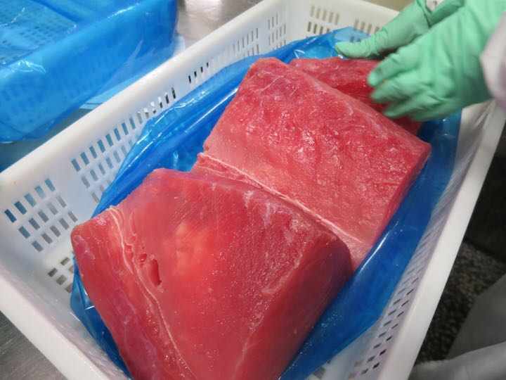 frozen yellow fin tuna saku (7)