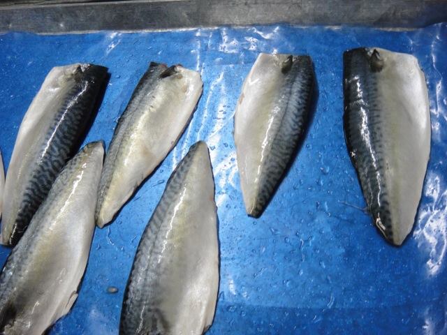 frozen mackerel fillet (1)