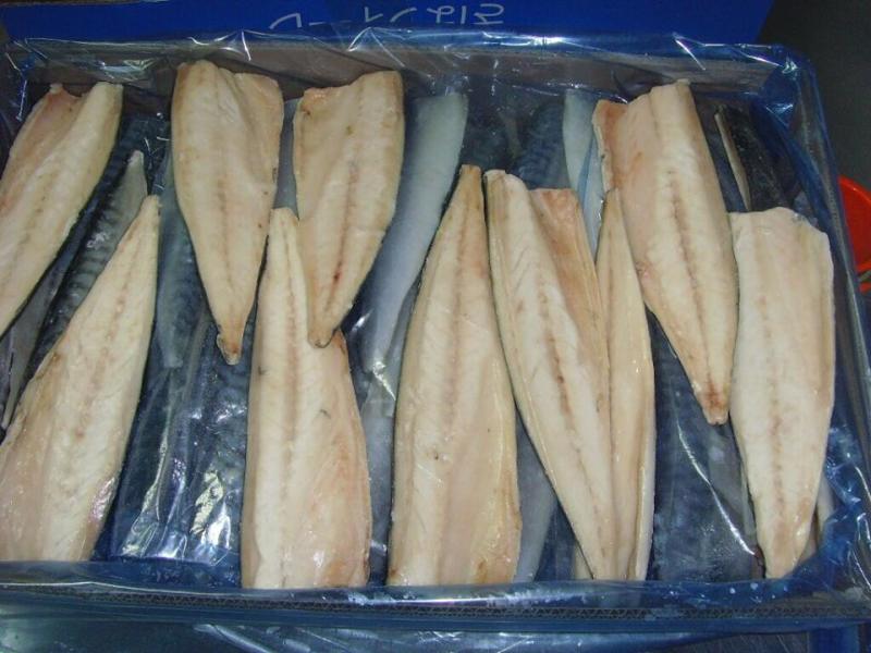 frozen mackerel fillet (4)