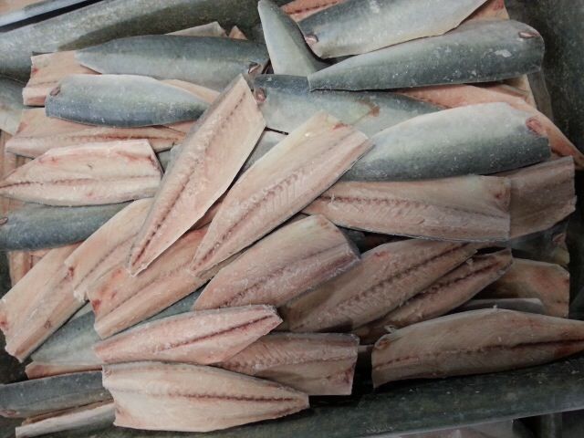 frozen pacific mackerel fillet (3)