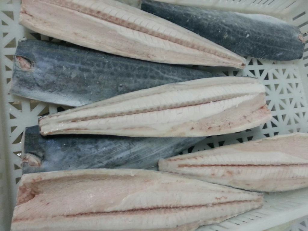 spainish mackerel fillet (1)