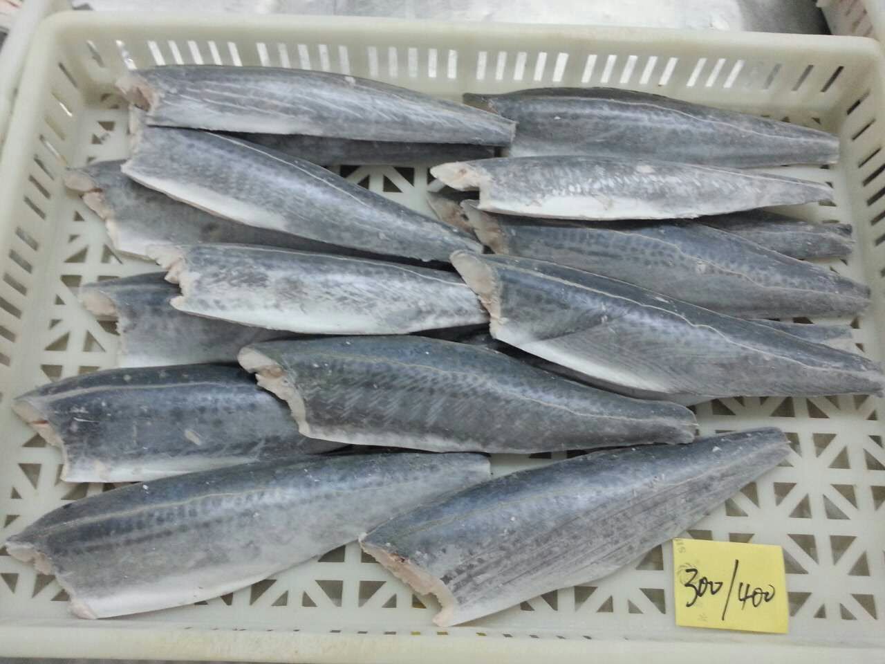 spanish mackerel fillet (3)